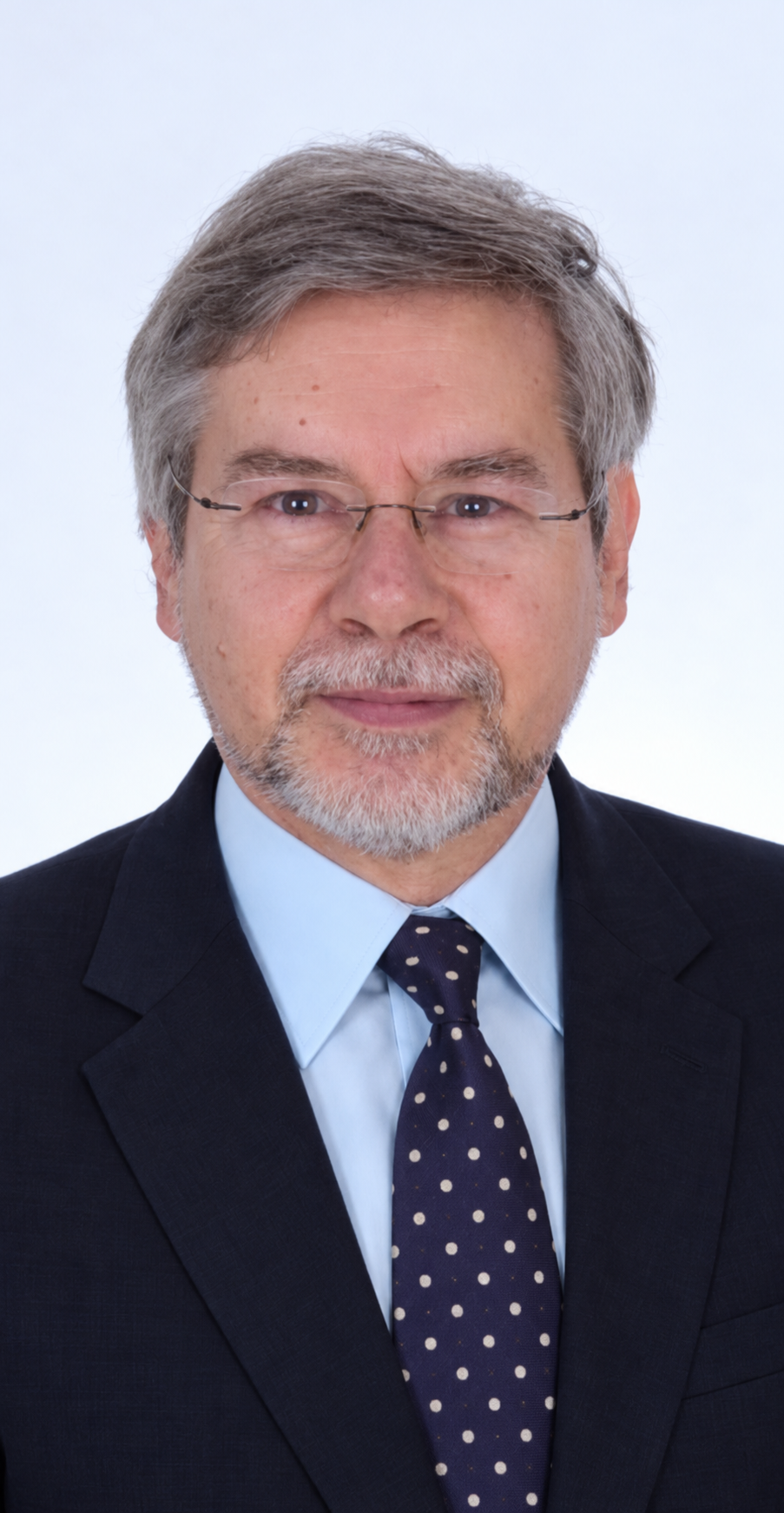 Professor Michael N. Fardis